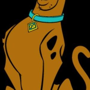 Meet your Posher, Sean